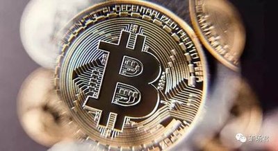 A bustling mining farm optimized for 2025 profit strategies in cryptocurrency hosting