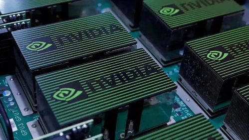 State-of-the-art mining rigs operating in an energy-efficient green hosting facility