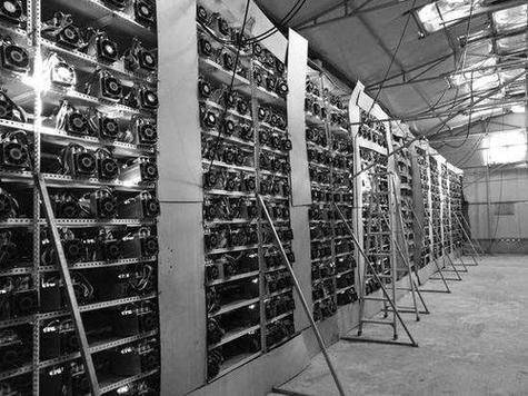 Mining Rig Setup